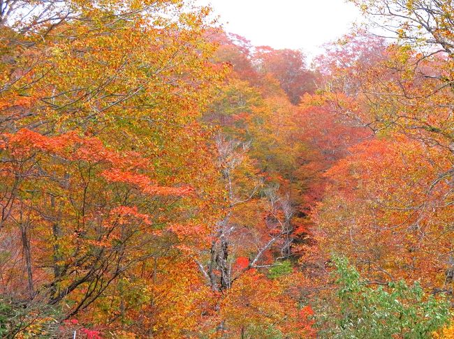 白濁と錦秋　ー怨嗟の谷川・微笑の照葉峡ー