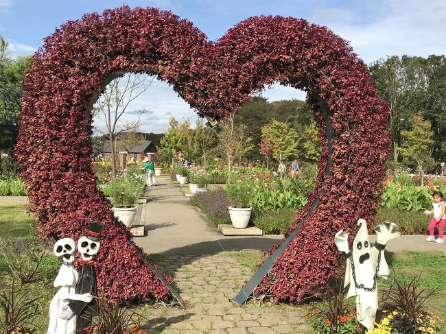 数年前トリップアドバイザーで上位に選ばれたふなばしアンデルセン公園。子供たちが小さかった頃は、よくでかけたのだけれど、今回約20年ぶりくらいで訪れました。以前も、大きくて、遊びがいのある公園でした。今回は、お花がとてもきれいでびっくり。母と二人で子供達が小さかった頃の話をしながら、ゆっくりお散歩できました。