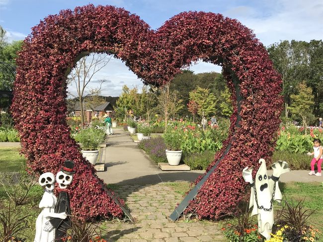 花を求めて⑭ ふなばしアンデルセン公園