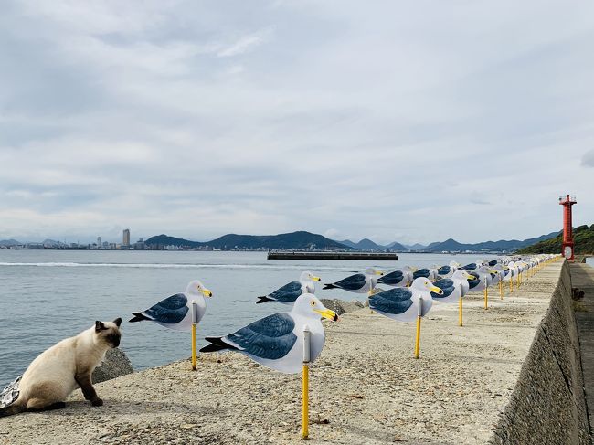 10月に4連休があったことを忘れていて・・<br />ソウルも台北も福岡も札幌も高いよ！！<br /><br />では久し振りに四国でもいこう！とバスみたら<br />名古屋→高松　満席！<br /><br />むむむ。<br />では名古屋から三宮まで行き<br />フェリーで高松に行くことにしましょう！<br /><br />10/19　名古屋16時30分　→　三宮20時30分　<br />　　　　バス　3460円<br /><br />10/20　三宮01時00分　→　高松05時30分　　<br />　　　　ジャンボフェリー2990円<br /><br />10/20　高松22時40分　→　名古屋10/21　06時00分　<br />　　　　バス6100円<br /><br />☆表紙の写真は女木島のアート「カモメの駐車場」とニャンコ<br />