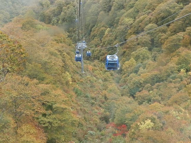 　苗場ドラゴンドラ～田代ロープウェーでつなぐ、苗場高原と田代高原。このルートは紅葉の絶景スポットとして全国に知られる。日本最長5,481ｍのドラゴンドラ、日本一の瞬間地上高230ｍの田代ロープウェー、まさに空中散歩から見る光景はエキサイティングである。<br />　訪れたのは10月18日、田代ロープウェーの担当者は2週間位早いという。今年の紅葉は遅く、11月初旬が見頃という。<br />　錦秋の二居湖と赤谷湖を訪ねたが、同じように紅葉しきれていなかった。桜の開花・満開と同じように紅葉の赤色や黄色に色付く時期もまた難しい。2週間早い紅葉をお楽しみ下さい。<br />