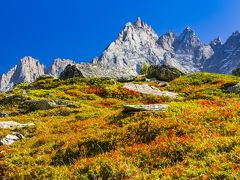 初秋のシャモニーとラヴォーを巡る旅（１）「レストラン・フローリア」へランチハイキング