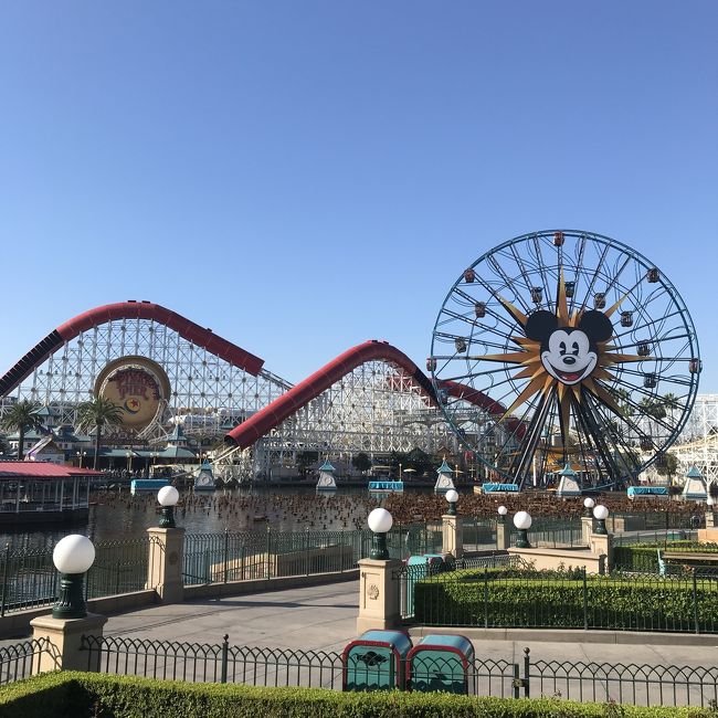 年に1度の海外旅行✈️<br />今年のお目当はアナハイムディズニー!<br />JTBでディズニー+ロサンゼルス5泊7日<br />というツアーを申込みしました!<br />中身はほぼフリーで送迎つきのプランです<br /><br />パークチケットは1日分しか付いていないので<br />もう1枚追加して2日ディズニーに❤︎<br />ロスへ移動してからユニバにも行きたいので<br />ユニバチケット+送迎プランも追加申込み。<br /><br />フリーの日はすべてUberで移動しました!<br /><br />1日目:アナハイム<br />2日目:ディズニーランドパーク<br />3日目:カリフォルニアアドベンチャー<br />4日目:ロスへ移動<br />5日目:ユニバ<br />6日目:ロサンゼルス空港から帰国