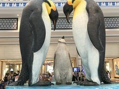 ペンギン好きにはたまらない！