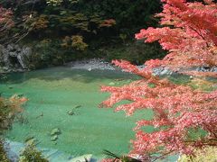 紅葉の祖谷かずら橋・道後温泉　①