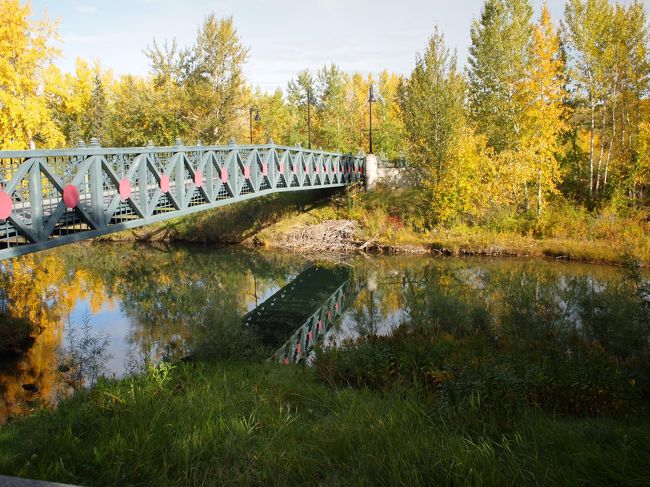 行ってみたかったBanff Marathon＜http://banffmarathon.com/＞<br />6月のフルを考えてたけど、今年40周年記念大会のMELISSA&#39;S ROAD RACE＜http://banffroadrace.com/＞があると聞いて、記念大会だし、ロゴが可愛いし、Banffには違いないし、一緒に参加できるお友達がいるというのも決めてで準備開始！ワクワクドキドキ。<br /><br />☆カルガリー編☆<br />到着日翌日、バンフに向かう途中だけど、空港から１時間ほどかけて来たので１日観光して、バンフへは翌日向かうことに