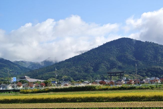 「即位礼正殿の儀の行われる日」の祝日に奈良を訪れました。前日の午後に自宅を車で出発。予定では曽爾高原で夕日に映えるススキを見ようと思っていましたが、大雨の為に断念。翌日の天気が心配でしたが、この日をお祝いするかのように朝には雨も上がり晴れ間が広がりました。清々しい秋の日を感じながら「山の辺の道」の桜井から三輪までを歩いてきました。