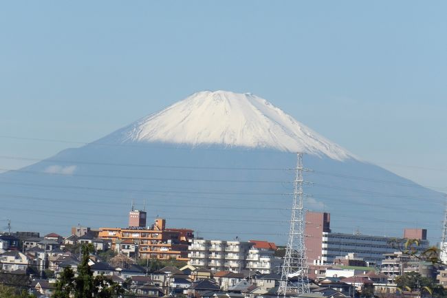 　昨日（即位の礼の日）の夕方の気象情報では立山、駒ケ岳、富士山の初冠雪が観測されたと伝えていた。今朝は台風19号の台風一過以来の秋晴れの晴天で、これならば富士山もクッキリと見えるだろうと富士山のビュースポットに出掛けてみた。<br />　明治学院大の正門と南門との中間にある紅葉（もみじ）滝の富士山のビュースポットはこの駐車場のフェンスが更新され、目が狭くなってカメラでの撮影が難しくなってしまっている。その1段低い道路からは何とか富士山を撮影することができた。<br />　また、倉田小と八幡谷公園の間からも富士山が見える。ここが富士山のビュースポットであることは今日初めて知った。以降は紅葉滝ではなく、ここが私にとっての富士山のビュースポットとなる。<br />　10日前にこの秋初めての富士山の姿を撮った実方塚参道脇の道路予定地からも富士山（https://4travel.jp/travelogue/11554006）が望める。たった10日で初冠雪した富士山は山頂が少し白くなっている程度ではなく、8合目くらいまではすっかりと雪を被り、白くなっている。もはや冬場の富士山の姿だ。<br />　なお、今年の富士山の雪も昨年と同様に南側（静岡側）が少なく見える。やはり、静岡側の富士山の地表温度は雪を解かすほど高いのであろうか。<br />（表紙写真は初冠雪した富士山）