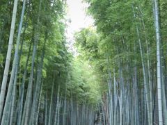 友人の導きで京都旅をする