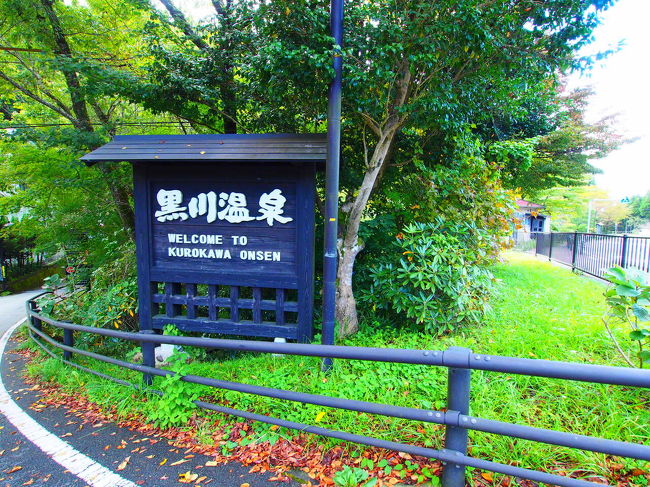 遅めの夏休みを利用して、人生初の熊本へ行ってきました。<br />厄年同士の友達と2人旅。厄年らしい旅行になりましたがそれを上回るくらい楽しめた気がします。<br /><br />※2019年4月にスペインに行っており、そちらの記事がまだ記載が終わっていないのと、2018年のフランスも記事が途中で申し訳ないです。<br />徐々に作成進めさせていただきます。(読みに来ていただいている方には、とびとびな感じで申し訳ないですが、ご了承願います)@2019年10月現在