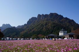 世界遺産　富岡製糸場・コスモスと妙義山・碓氷峠　②