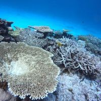 海と町が近くて便利な沖縄北谷へ　