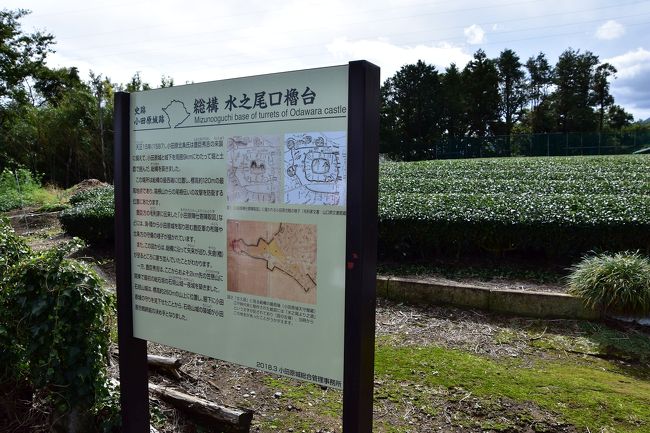 諏訪の原・西部丘陵ウォーキングコースを歩き、秀吉軍副将・豊臣秀次の陣と、それを迎え撃つ北條氏の居城・小田原城総構えの空堀を訪ねる。<br />