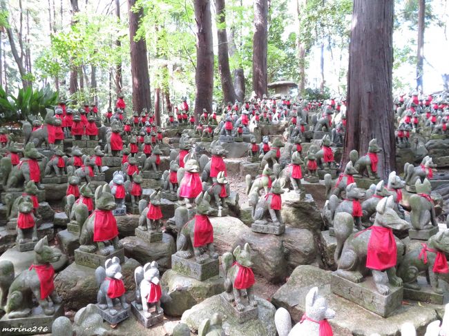 やっと行けた秋の旅 １．きつね千体のパワースポット豊川稲荷