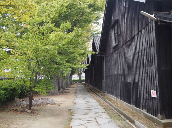 江戸時代に北前船で繁栄した酒田の街です。庄内米の貯蔵倉庫であった山居倉庫や北前船の交易や金融業で栄えた邸宅も残っており、当時の様子が感じられ、街歩きが楽しめます。