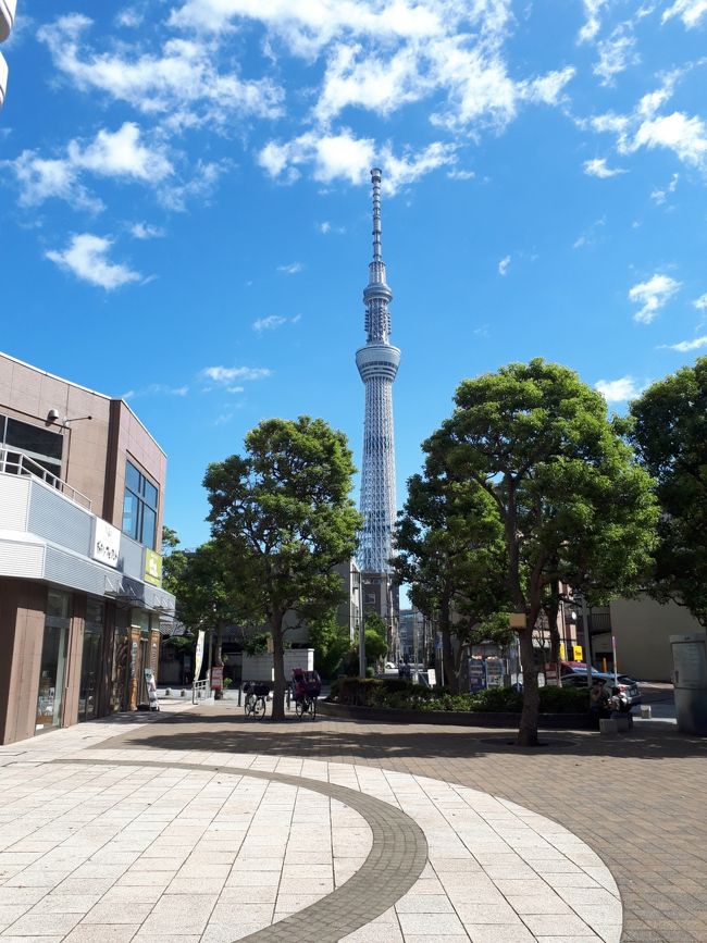 東京の定番スポットを回ってきました。<br /><br />観光客で賑わう街並み。大都会の中に観光地のある東京ならではの風景を堪能しました。