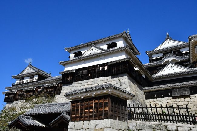 愛媛県：松山城、湯築城（その1）