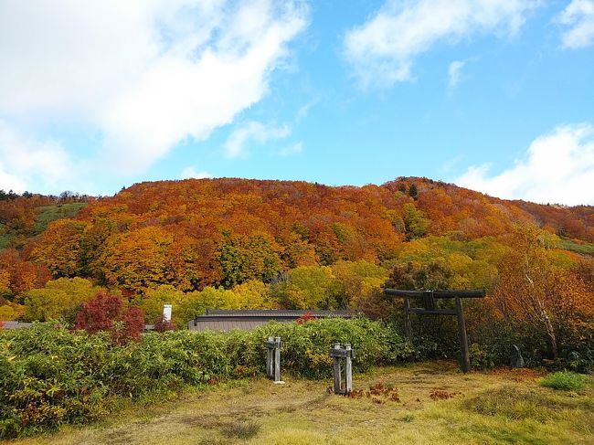 旅行1週間前、関東甲信越および東北南部で何十年に一度の大型台風により、80人以上の方がお亡くなりになりました。被災された方々には心からお見舞い申し上げます。<br />2019年10月22日（火）は令和天皇即位正殿の儀の日により祝日、前日月曜日休暇を取って、3泊4日で北東北へ行きました。2011年に十和田湖・奥入瀬を廻りましたが、他は14年ぶりもしくは観光するのが初めての地です。<br />標高差があるためスポットにより紅葉の進行度に違いがありますが、紅葉ピークのスポットは別世界のような美しく輝いていました。また多くの地で温泉も満喫しました。<br /><br />---------------------------------------------------------------<br />スケジュール<br /><br />　10月19日　自宅－大宮駅－（新幹線）盛岡駅－（レンタカー）十和田湖観光－奥入瀬観光－十和田湖　[十和田湖泊]<br />★10月20日　十和田湖観光－睡蓮沼観光－酸ヶ湯観光－城ヶ倉大橋観光－蔦沼観光－十和田湖観光－後生掛温泉<br />　　　　　　[後生掛温泉泊]<br />　10月21日　後生掛温泉観光－八幡平大沼観光－八幡平山頂観光－御在所湿原観光－田沢湖高原　[田沢湖高原泊]<br />　10月22日　田沢湖高原－田沢湖観光－抱返り渓谷観光－角館観光－乳頭温泉郷観光－盛岡駅－大宮駅－自宅