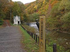 秋の白神山地2019