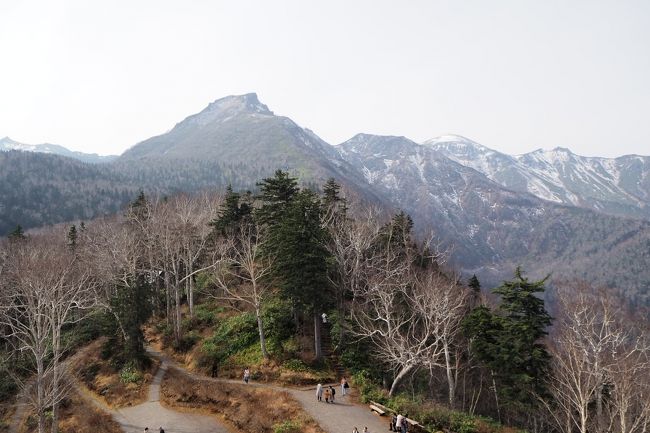 令和即位礼の日　紅葉がとってもきれいだったから　in　層雲峡