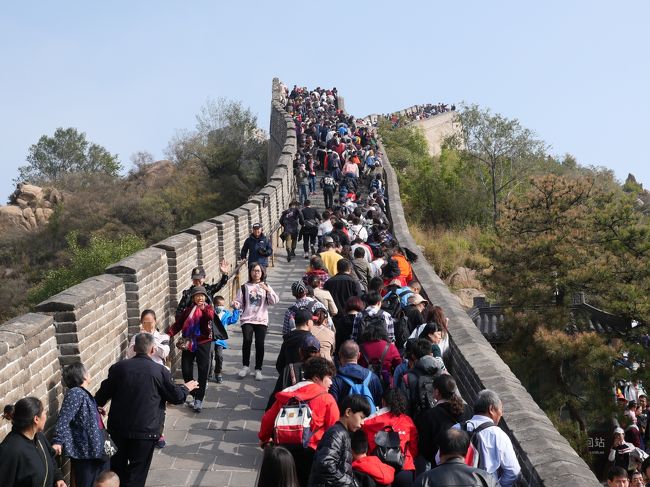 2019年10月1日に建国70周年を迎えた中国の北京・天津をこの地に詳しい友人夫婦と巡ってみた。<br />きょうは念願の世界遺産「万里の長城(八達嶺)」に行ってみた。そして、胡同、王府井大街にも立ち寄ってみた。<br /><br />10/17　羽田⇒北京首都空港　（北京泊）<br />10/18　頤和園　清華大学　什刹海　鼓楼　（北京泊）<br />10/19　八達嶺/万里の長城　胡同　王府井大街　（北京泊）<br />10/20　中国美術館　天津海河の夜景　（天津泊）<br />10/21　西開天主教堂　五大道　天津濱海図書館　（天津泊）<br />10/22　天壇公園　北京飯店　（北京泊）<br />10/23　天安門　故宮博物院(紫禁城)　景山公園　（北京泊）<br />10/24　天安門広場　北京首都空港⇒羽田<br /><br />※≪朗報≫<br />中国スマホ決済サービス大手のアリペイとウィーチャットペイは、中国を訪れる観光客でも使えるようにした。中国ではQRコードなどのスマホ決済が普及しているが、外国からの観光客は原則利用できなかった。2社は金額や用途で一定の制限を設けつつ、米ビザなどのクレジットカードと紐付けられるようにした(11/9某経済新聞社より)<br />