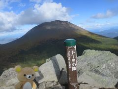 紅葉の浅間山下山するクマ。