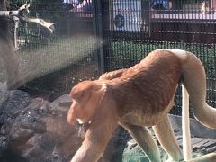 珍しい動物いっぱい！横浜ズーラシア動物園へ