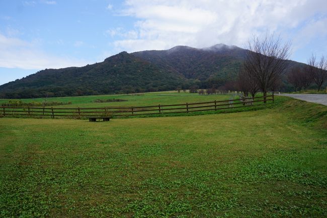 倉敷国際ホテルに宿泊して、岡山県真庭市蒜山高原へ秋の紅葉と自然を楽しんできました。<br />蒜山高原は倉敷から岡山ICに乗り、約2時間です。蒜山ICを降りてまっすぐに進み、30分で高原に到着します。蒜山ジャージーランド、ひるぜんジョイフルパーク、休暇村蒜山、蒜山ホースパークなど近場にまとまって施設があります。幼児から大人、祖父母と子連れで3世代で遊べるところがあって、自然豊かな高原でゆったりと遊べます。