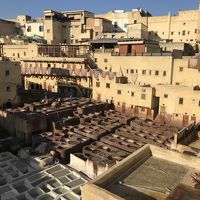 モロッコ2～3日目◆フェズ　ヴォルビリス遺跡とフェズのメディナ