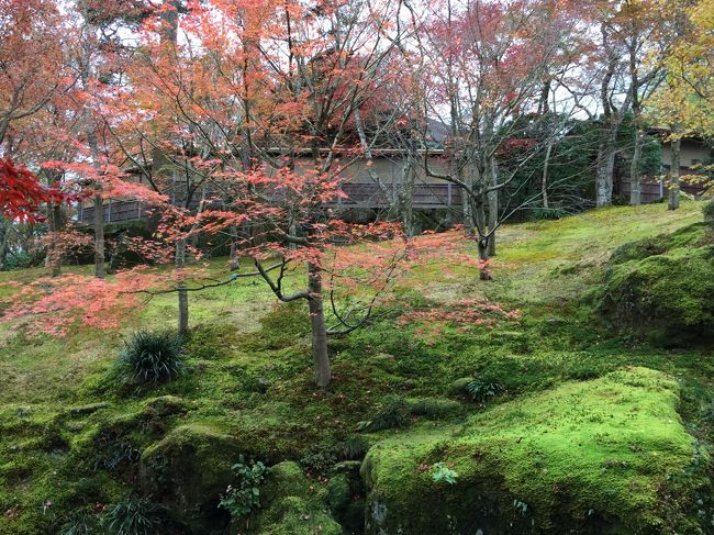 芦ノ湖と苔の箱根美術館　②