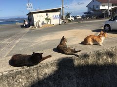 2019瀬戸内国際芸術祭 秋会期5（豊島）