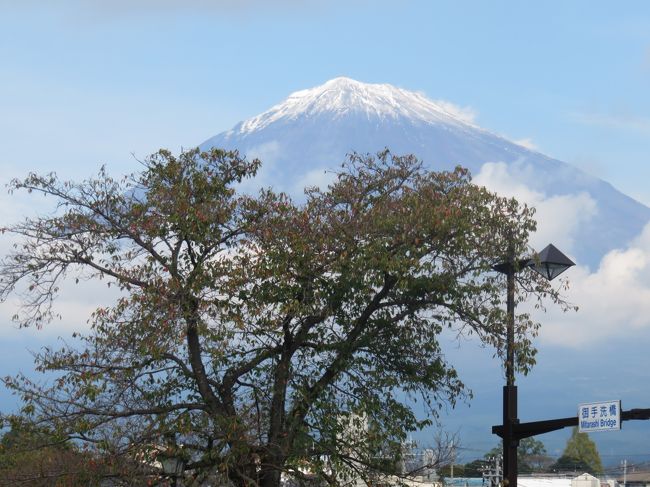 毎年のグループ旅行で下部温泉泊、富士山五合目に行きました。<br />富士五合目は霧で真っ白、何も見えませんでしたが、浅間大社に行ったとき頭に初冠雪をかぶった富士山がくっきりと見えて目的を果たした気がしました。