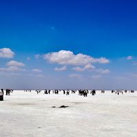 2019 初トルコ10日間の旅、変なビジネスツアーを選択　時系列ＮＯ．４/5