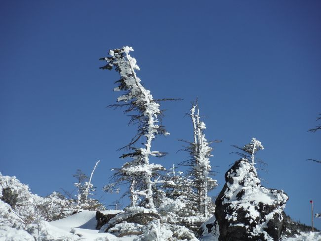 今年の初めに北横岳へスノーシューツアーに。<br />いつもは入笠山に行くけど、ちょっと趣向を変えて北横岳へ行きました。<br />山頂の風は強かったけど見晴らしが良くて最高でした。<br />