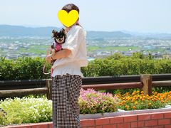 愛犬まおちゃんとの初旅行は白浜