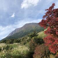 マダムのランチバイキング＆温泉＆くじゅう花公園＆池山水源ｉｎくじゅう