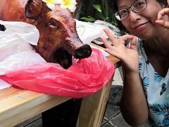 ＜予告＞2019年末  Rika Sanurに泊まるよ