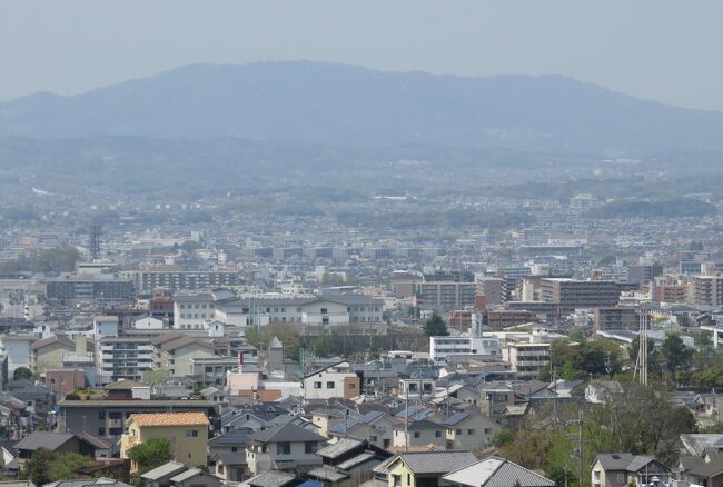 関西の花のお寺巡り、百毫寺の紹介です。