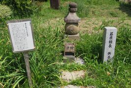 2018春、関西の花のお寺(7/16)：般若寺(2)：山吹、傘塔婆、観音石像、藤原頼長供養塔