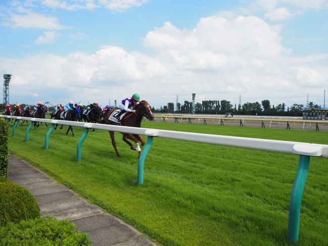 今年の夏休みは「11連休」と、二十数年間の会社生活で最長の連休となったわけですが、長期旅行の計画もせず、決まっていたのは飲み会1日、ゴルフ1日、残りは気が済むまで実家で過ごすとといった具合で、このままだとメリハリのない大型連休に終わってしまいそう・・・という事で一念発起し、どこでもいいから出かけようと思い浮かんだのが新潟競馬。<br /><br />前々から夏競馬を絡めた遠征したいと思っており、ようやっと思いとタイミングが一致したという事で、新潟に一泊し、翌日午前中のレースから馬券買いまくり、儲けたお金で古町の料亭で「どか~んと景気よくやってみよ~よ」と思った次第です。<br /><br />そんな邪念だらけのアラフィフ独身男の一人旅、競馬前日の新潟観光と合わせて書かせて頂きます。<br /><br />※:当然ながら、古町の料亭での「どか~ん」はありません。