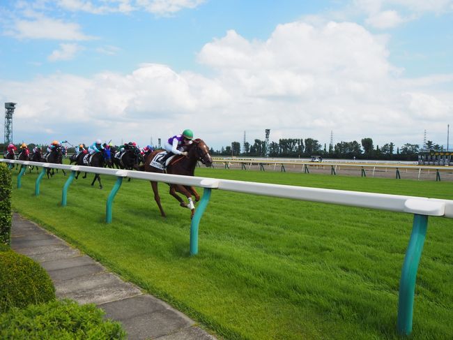 今年の夏休みは「11連休」と、二十数年間の会社生活で最長の連休となったわけですが、長期旅行の計画もせず、決まっていたのは飲み会1日、ゴルフ1日、残りは気が済むまで実家で過ごすとといった具合で、このままだとメリハリのない大型連休に終わってしまいそう・・・という事で一念発起し、どこでもいいから出かけようと思い浮かんだのが新潟競馬。<br /><br />前々から夏競馬を絡めた遠征したいと思っており、ようやっと思いとタイミングが一致したという事で、新潟に一泊し、翌日午前中のレースから馬券買いまくり、儲けたお金で古町の料亭で「どか～んと景気よくやってみよ～よ」と思った次第です。<br /><br />そんな邪念だらけのアラフィフ独身男の一人旅、競馬前日の新潟観光と合わせて書かせて頂きます。<br /><br />※:当然ながら、古町の料亭での「どか～ん」はありません。