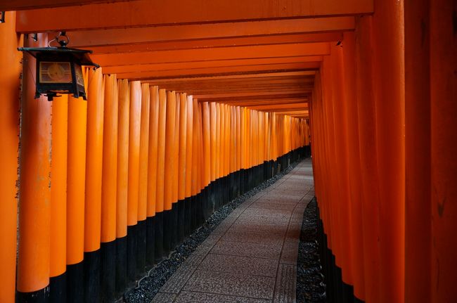 修学旅行でしか行ったことのない京都。<br />学生の時は京都の良さもわからず、残念ながらかろうじて見学先を覚えている程度。<br />なので、大人になってちゃんと京都を見てみたい、どうせならやっぱり紅葉の時期がいい！ということで行ってきた時の記録です。<br />ほぼ初めてと変わらないので、京都内でも紅葉の名所や穴場はたくさんあるけれど、とりあえず定番の観光スポットを訪れました。<br /><br />新幹線にしようか迷いましたが、安いジェットスターの関空行きのチケットが取れたので、大阪から行くことに。<br />インバウンドの影響もあって京都のホテルに泊まるのは高いし予約も取れないので、宿泊も大阪です。<br /><br />初めての関空。なかなか利用する機会がないので１度来てみたかった。<br />仕事後、最終便で金曜の夜遅くに到着。<br />寝るだけし今回は１人旅なので、割と新しいカプセルホテルに宿泊です。<br /><br />翌朝、朝食を済まし、電車で外国人旅行者に人気ＮＯ．１の伏見稲荷神社に向かいます。