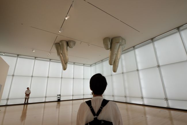 あいちトリエンナーレ２０１９「豊田市美術館・豊田市駅周辺」に<br />行ってきました。「表現の不自由展・その後」の展示再開があり<br />豊田市美術館・豊田市駅周辺の喜楽亭ではホー・ツーニェンの作品<br />「旅館アポリア」は待ち時間が発生するほど人が溢れていました。<br />帰りには愛知文化センターに寄り「表現の不自由展・その後」の抽選を<br />しましたが残念ながら奥さんともハズレました。再開されたいくつかの<br />作品を見て回りました<br />