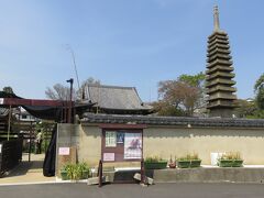 2018春、関西の花のお寺(11/16)：般若寺(6完)：山吹：岩船寺(1)：十三重石塔、三重塔