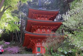 2018春、関西の花のお寺(12/16)：岩船寺(2)：本堂、鐘楼、三重塔、五輪塔、庭園の池