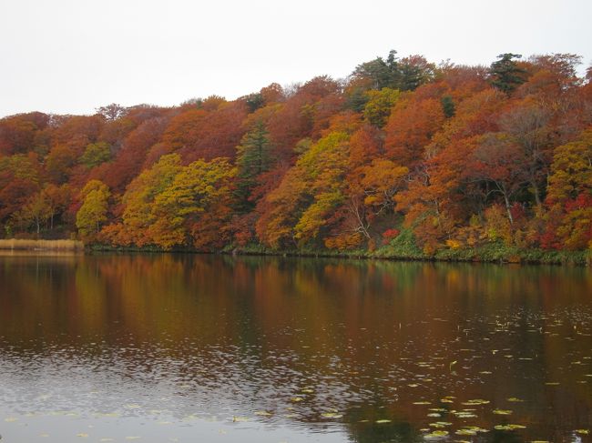 青森県と秋田県へ紅葉とりんごと温泉を楽しむ３泊４日のドライブ旅行。<br /><br />１日目・・・紅葉の乳頭温泉と玉川温泉を楽しみ、弘前へ移動。<br /><br />２日目・・弘前から十和田周辺の紅葉を楽しみ、アップルロードとりんご公園で旬のりんごを目と舌で楽しみました。<br /><br />3日目・・弘前から八幡平アスピーテラインをドライブして紅葉と温泉を楽しみ、田沢湖近くの水沢温泉へ。
