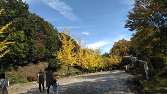 子育てもほぼ終了のアラフィフおばさん。<br />高校の同級生３人（メンバーは、地図を見るのが得意なK美さんと<br />かわいい物綺麗な物が好きなTちゃん、K美さんとTちゃんは、中学も同じ。）<br />で、わたしが、テレビで見た西武鉄道のレストラン列車　”５２席の至福”　に乗りたくなって、調べたところ、ランチの列車は、満席だったけれど、ディナーの列車は、かろうじて空きがあることがわかり、２ヶ月前に予約して、秩父日帰り旅を楽しんだ最後に締めくくりとしてレストラン列車　”５２席の至福”で豪華ディナーの列車に乗りました。