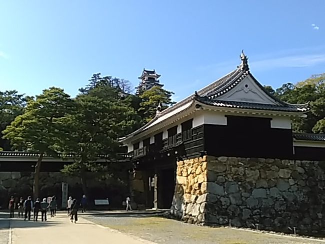 二泊三日で高知市内を観光してきました。今回が初高知です。本旅行記では，廻ってきた中で高知城の見所をピックアップしてご報告します。