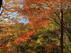 201910-09_岩手での紅葉狩り　安比高原　松川渓谷/ Appi, Matsukawa<IWATE>