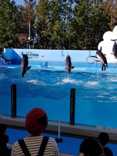 新潟 19 10月 8歳4歳子連れ 3世代一泊二日の旅 2日目 月岡温泉 新潟県 の旅行記 ブログ By リッパーさん フォートラベル 新潟 19 10月 8歳4歳子連れ 3世代一泊二日の旅 2日目 月岡温泉 新潟県 の旅行記 ブログ By リッパーさん フォートラベル